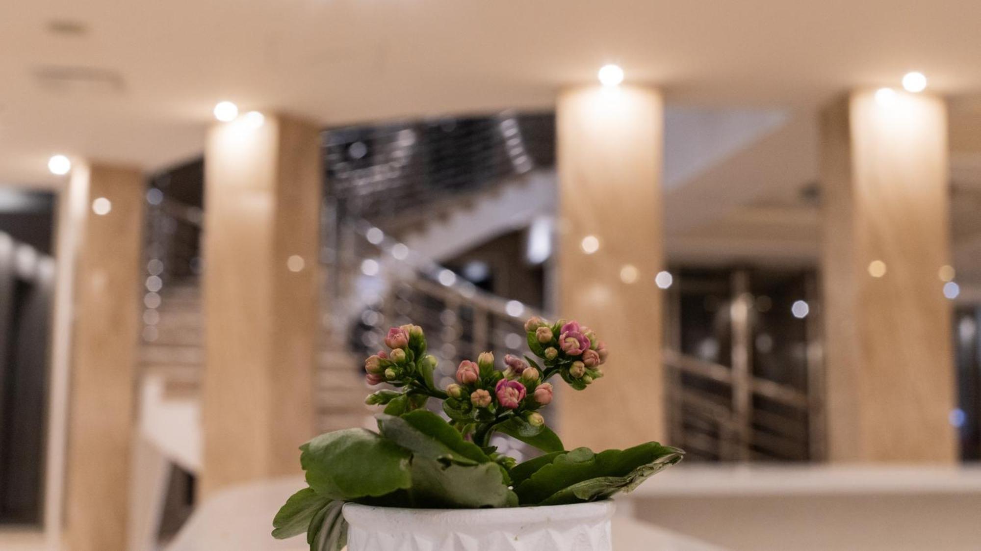Hotel Donna Crescenza Locorotondo Exteriér fotografie